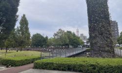 Featured image of post 2024年10月26日