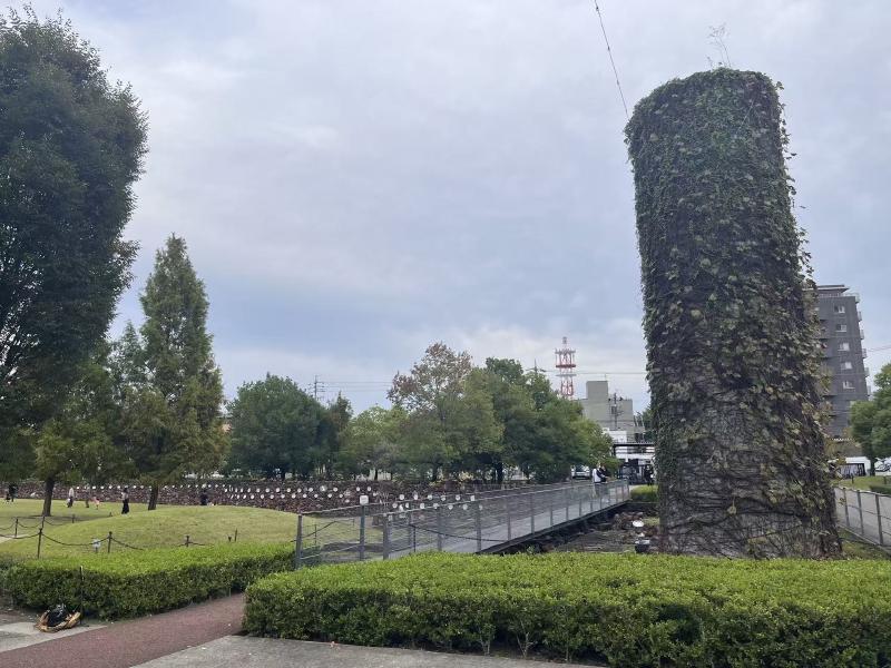 Featured image of post 2024年10月26日